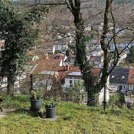 Bei Heidelberg Mit Garten شقة